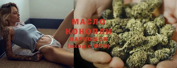 дмт Алексин
