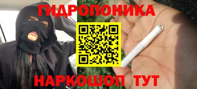 крисы Донской