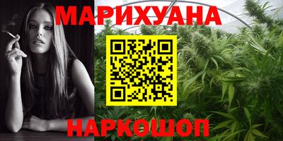 крисы Донской