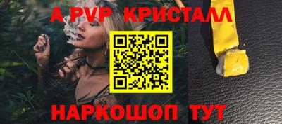 крисы Донской