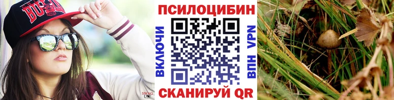 Псилоцибиновые грибы MAGIC MUSHROOMS купить сайты Михайловск