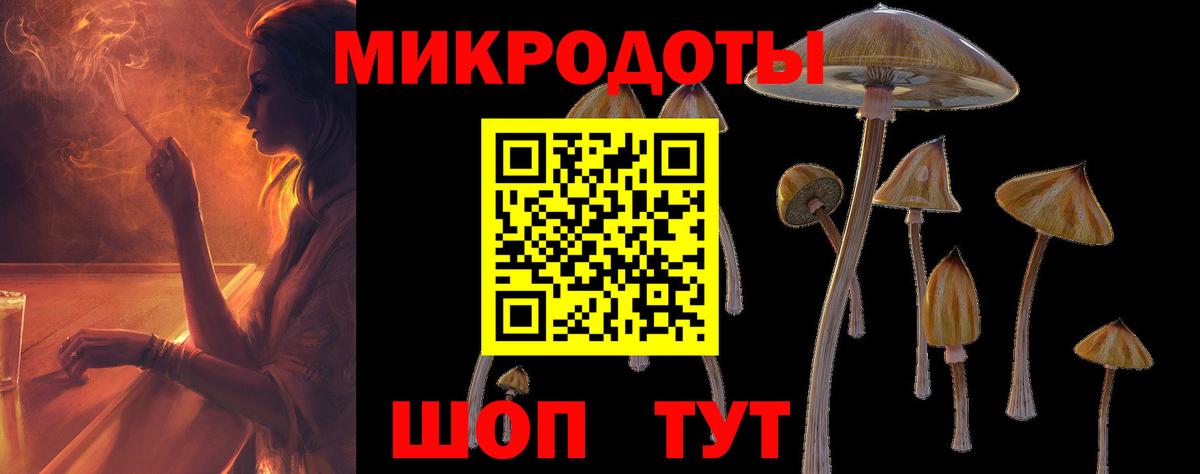 Галлюциногенные грибы GOLDEN TEACHER Михайловск
